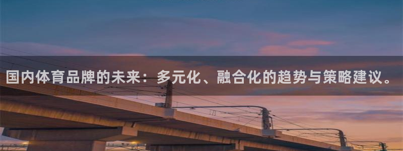 nba极速体育：国内体育品牌的未来：多元