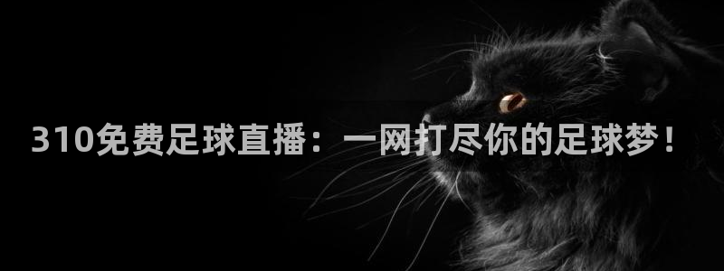 黑白直播极速体育：310免费足球直播：一